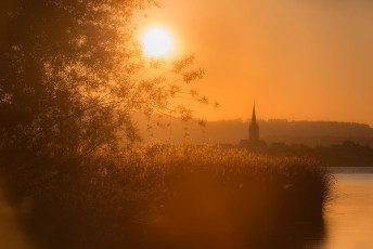 Moos 0115-2012, Schilf und Radolfzeller Münster im Sonnenaufgan
