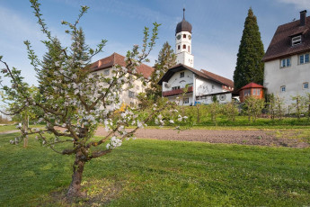 Öhningen 0008-2010, Apfelblüte vor Kloster und Kirche