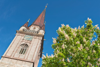Radolfzell 0266-2015, Münsterturm und Kastanienblüte