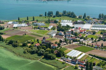 Reichenau 0299-2010, Luftaufnahme Oberzell