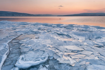 Reichenau 0450-2012, Eisschollen am Niederzeller Ufer im Abendro
