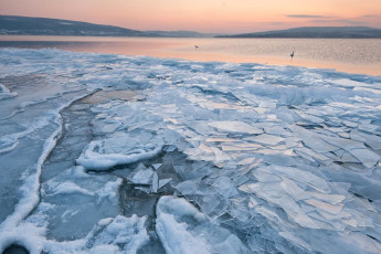 Reichenau 0460-2012, Eisschollen am Niederzeller Ufer im Abendro