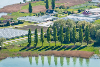 Reichenau 0540-2013, Luftaufnahme Ufer Oberzell Nähe Dammstraß