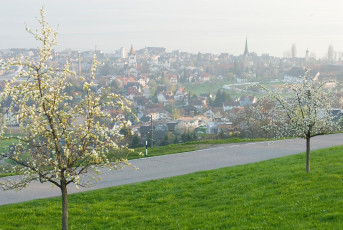 Rorschach 002-2007, Stadt im Frühling