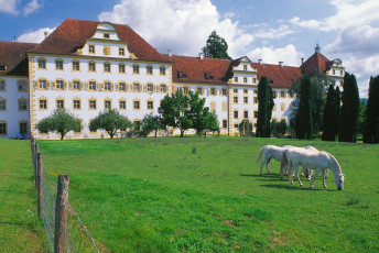 Salem, Pferde und Schloss