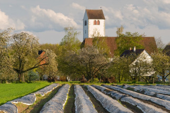 Seefelden 011-2008, Spargelfelder + Kirche