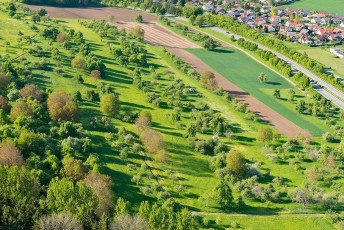 Singen 0064-2014, Streuobstwiese vor Mühlhausen vom Hohenkrähe