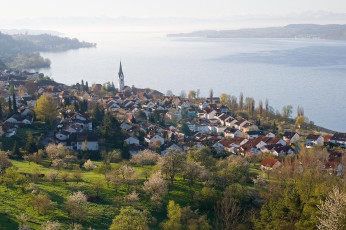 Sipplingen 112-2008, Dorf im Frühling
