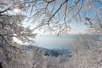 Sipplingen 0330-2010, Blick durch Winterwald auf Ort und See