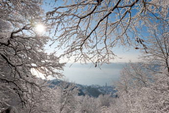 Sipplingen 0344-2010, Blick durch Winterwald auf Ort und See