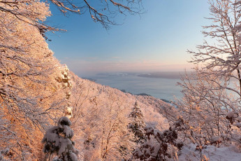 Sipplingen 0373-2010, Blick durch Winterwald auf den Überlinger