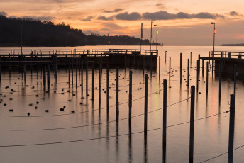 Sipplingen 0766-2014, Leerer Hafen morgens bei Wintersonnwende