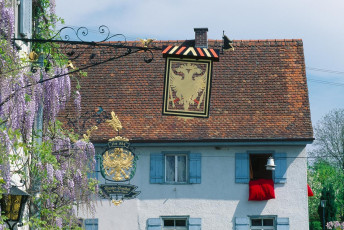 Sipplingen, Ausleger und Blauregen