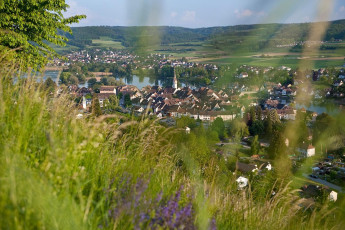 Stein am Rhein 0033-2010, Blick auf Örtchen und Rhein