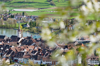 Stein am Rhein 0176-2015, Kirschblüte und Ort vom Schienerberg