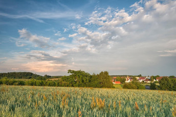 Stetten 0027-2014, Wolken über Getreidefeld und Ortskern
