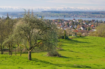 Überlingen 0350-2008, Frühlingspanorama