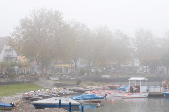 Unteruhldingen 261-2008, Ufer beim Hafen im Herbstnebel