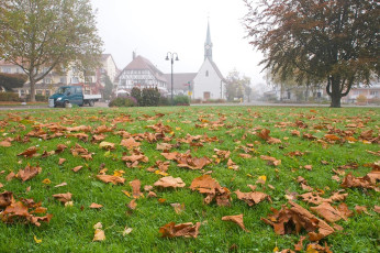 Unteruhldingen 269-2008, Herbstblätter vor der Stadtkirche