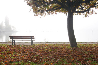 Unteruhldingen 277-2008, Bank beim Hafen im Herbstnebel
