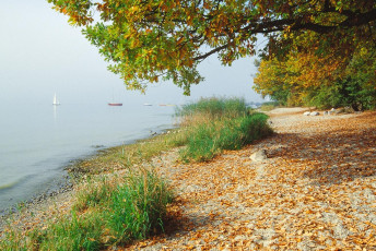 Unteruhldingen, Herbstliches Seeufer