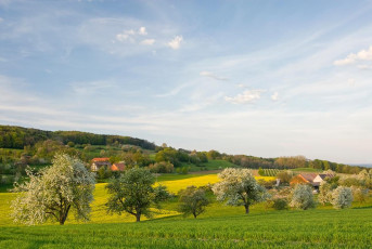 Wangen 028-2007, Gehöft auf dem Schienerberg