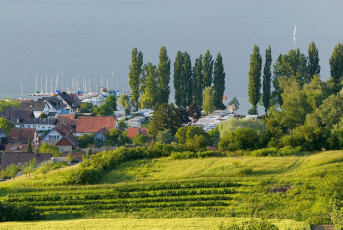 Weiler 007-2006, Ausblick auf Zeller See