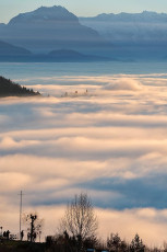 Bregenz 1013-2015, Blick von Lochau auf Gebhardsberg im Nebelmee