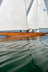 Bregenz 1049-2016, 8 MR Pokal Herbstregatta