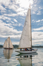 Bregenz 1083-2016, 8 MR Pokal Herbstregatta