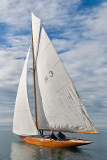 Bregenz 1099-2016, 8 MR Pokal Herbstregatta