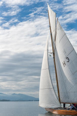 Bregenz 1120-2016, 8 MR Pokal Herbstregatta