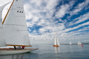 Bregenz 1133-2016, 8 MR Pokal Herbstregatta