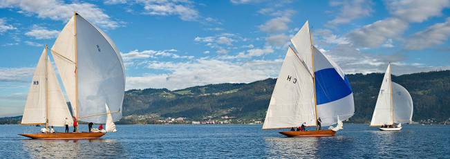 Bregenz 1166-2016 PANO, 8 MR Pokal Herbstregatta