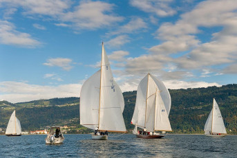 Bregenz 1186-2016, 8 MR Pokal Herbstregatta