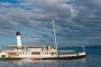 Bregenz 1265-2016, Dampfschiff Hohentwiel in voller Fahrt