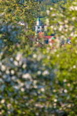 Dingelsdorf 0115-2016, Blick durch Obstblüte auf Überlinger M
