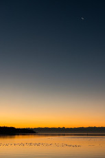Hagnau 1012-2015, Ufer, Alpen und Mond im Morgengrauen