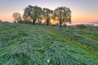 Horn 0114-2016 HDR, Erste Mahd und Sonnenaufgang ueber Streuobst