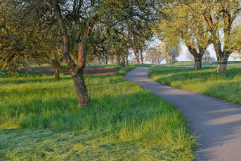 Horn 0131-2016, Fahrradweg durch Streuobstwiese