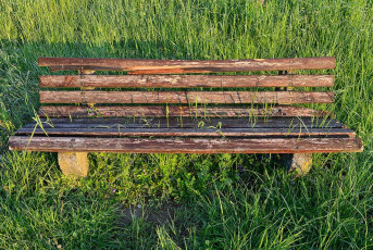 Horn 0133-2016 HDR, Eingewachsene Bank in Wiese