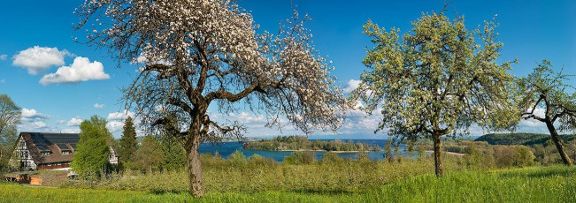 Litzelstetten 0028-2016 PANO, Obstblüte, Bauernhof und Blick zu