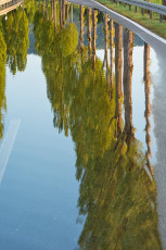Moos 0183-2016, Hochwasser auf der Dammstrasse nach Radolfzell