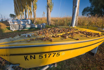 Moos 0199-2016, Herbststimmung am Hafen