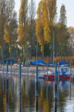 Moos 0221-2016, Herbststimmung am Hafen