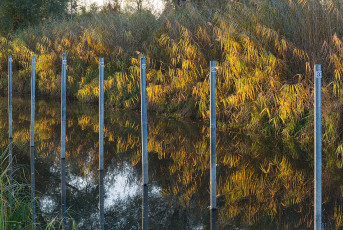 Moos 0227-2016, Herbststimmung am Hafen