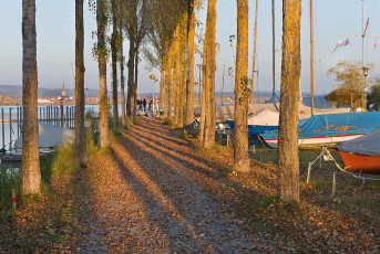 Moos 0230-2016, Herbststimmung am Hafen
