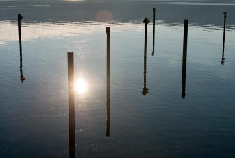 Sipplingen 0821-2016, Pfähle am Yachthafen im Gegenlicht