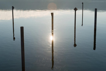 Sipplingen 0830-2016, Pfähle am Yachthafen im Gegenlicht