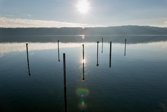 Sipplingen 0831-2016, Pfähle am Yachthafen im Gegenlicht